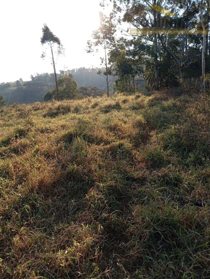 WhatsApp Image 2025-12-15 at 14.06.57 (3).jpeg